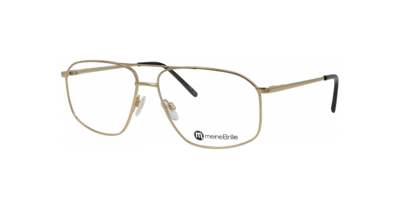 meineBrille 04-20190-02 Gold glänzend Schrägansicht links - Ansicht 2