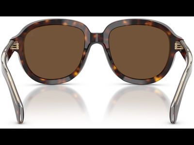 Moncler Sonnenbrille Unisex Moncler Cirsee ME6007U 300273 54 Ansicht 4