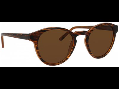 SunRay Sonnenbrille Unisex meineLinse Sun 06-47120-01 Ansicht 4