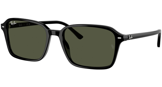 Ray-Ban 0RB2231 901/31 - Ansicht 2