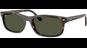 Ray-Ban RB2224 710/31
