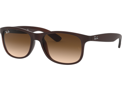 Ray-Ban RB4202 Andy Matt Braun / Verlauf Braun 607313 55 - Ansicht 3