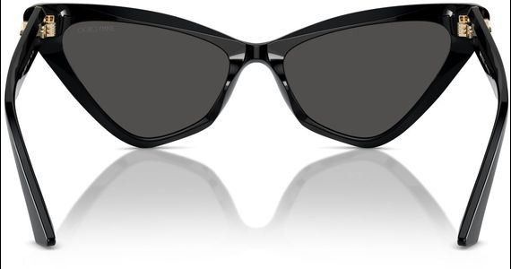 Jimmy Choo JC5008 500087 55 - Ansicht 5