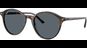 Ray-Ban RB2230 1356R5