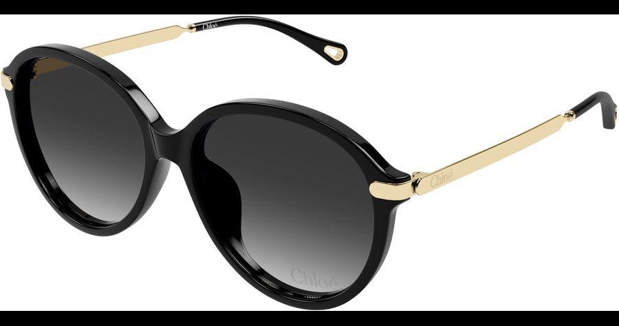 Chloé Sonnenbrille Damen Chloé CH0358SK 59 001 Ansicht 1