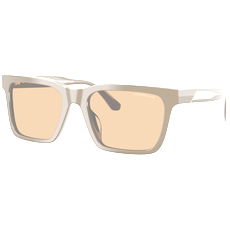 Emporio Armani Sonnenbrille Herren Emporio Armani EA4262U 630773
