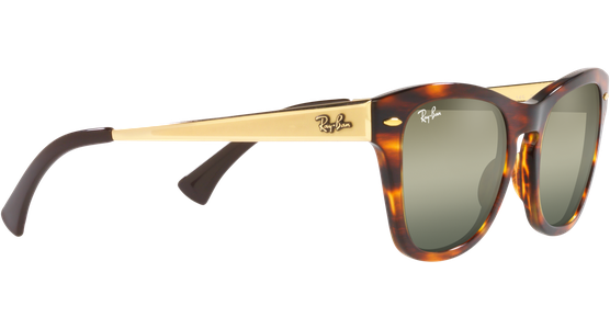 Ray-Ban RB0707SM 954/G4 - Ansicht 11