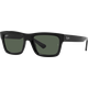 Ray-Ban Warren RB4396 667771