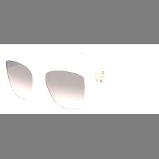 Hugo Boss Sonnenbrille Damen Hugo Boss BOSS 1938/G/S 54 FWM