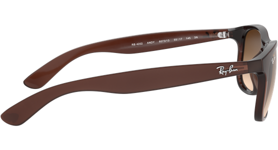Ray-Ban Andy RB4202 606971 55 Braun - Ansicht 14