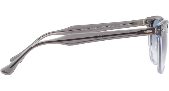 Ray-Ban Eagle Eye RB2398 13553F - Ansicht 10