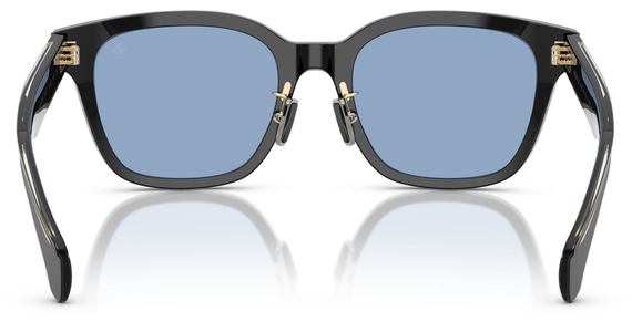 Moncler Metrope ME6002D 300172 54 - Ansicht 5