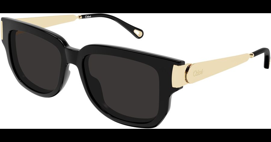 Chloé Sonnenbrille Damen Chloé CH0351S 54 001 Ansicht 1