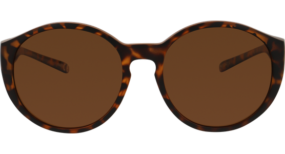 Sunray Pola Überbrille 06-57430-03 - Ansicht 3