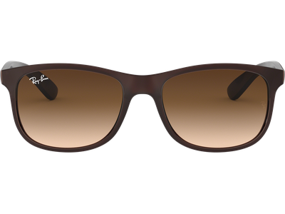 Ray-Ban RB4202 Andy Matt Braun / Verlauf Braun 607313 55 - Ansicht 2