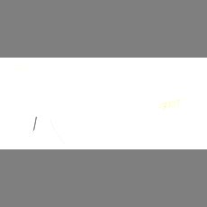 Gucci Sonnenbrille Herren Gucci GG1774S 70 002