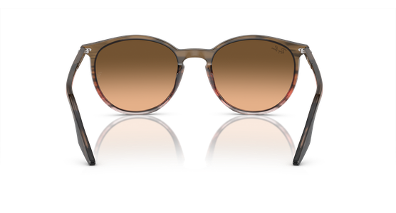 Ray-Ban RB2204 13953B - Ansicht 5