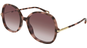 Chloé CH0383S 57 004