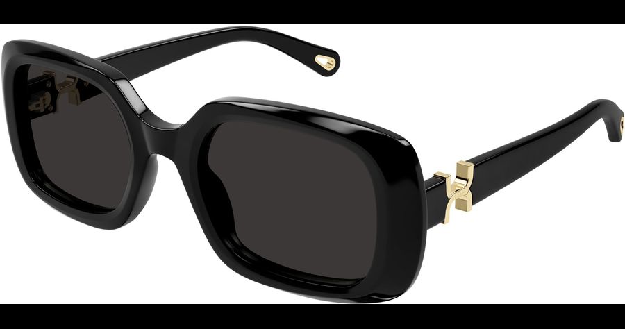 Chloé Sonnenbrille Damen Chloé CH0333S 53 001 Ansicht 1