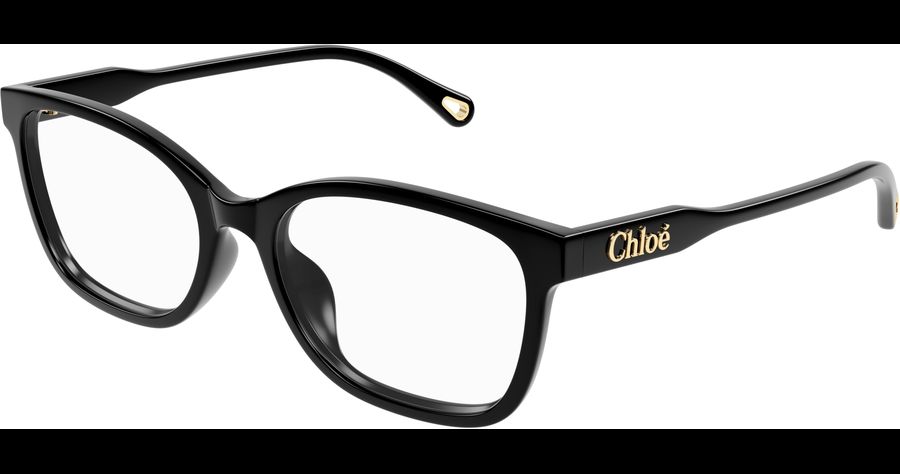 Chloé Brille Damen Chloé CH0276OA 54 001 Ansicht 1