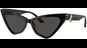 Jimmy Choo JC5008 500087 55