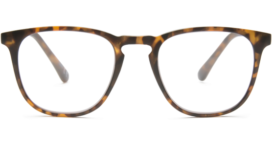 4read CONCEPT Berlin Havanna 2,5 Dioptrien  - Ansicht 5