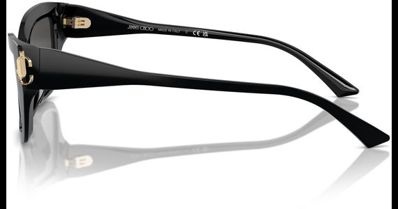 Jimmy Choo JC5011U 500087 55 - Ansicht 4