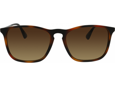 SunRay Sonnenbrille Herren meineLinse Sun 06-47230-01 Ansicht 4