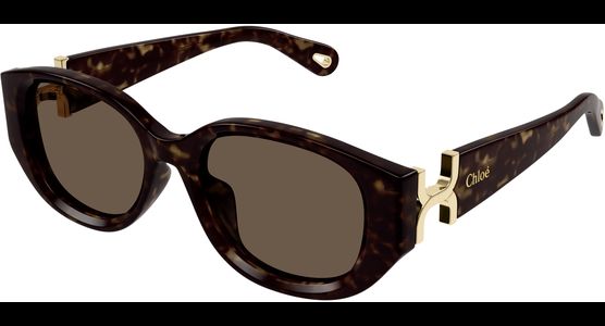 Chloé CH0237SK 54 002 - Ansicht 2