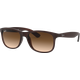 Ray-Ban Andy RB4202 606971 55 Braun