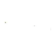 FRAIMS Brille Damen FRAIMS 03-97010-01 Kim, Ingwer