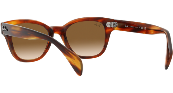 Ray-Ban RB0880S 954/51 - Ansicht 6
