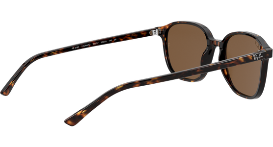 Ray-Ban Leonard RB2193 902/57 - Ansicht 9