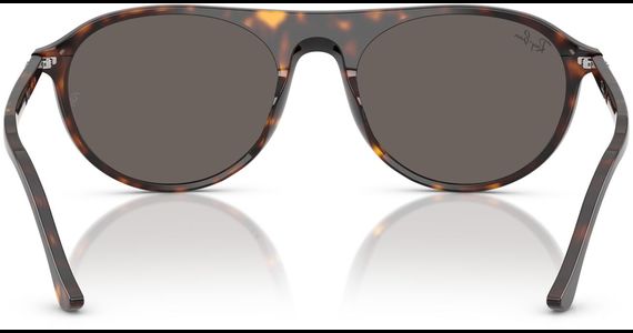 Ray-Ban RB2215 902/B1 - Ansicht 5