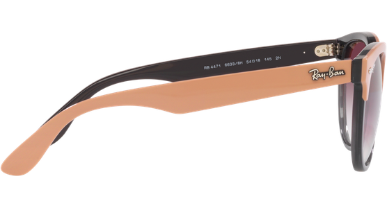 Ray-Ban Iris RB4471 66338H - Ansicht 10