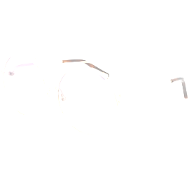 Chloé Sonnenbrille Damen Chloé CH0045S 002
