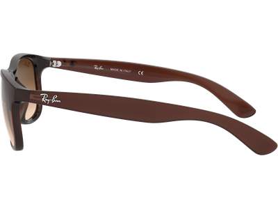 Ray-Ban Sonnenbrille Herren Ray-Ban Andy RB4202 606971 55 Braun Ansicht 4