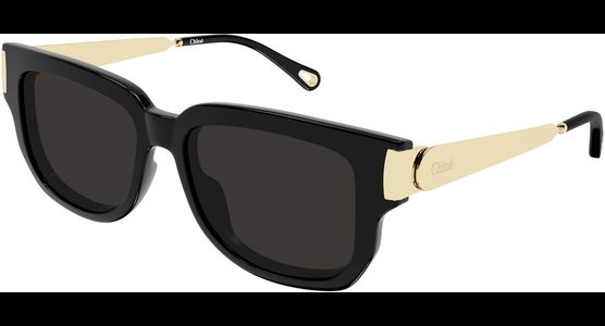 Chloé CH0351S 54 001 - Ansicht 2