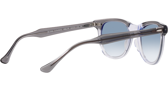 Ray-Ban Eagle Eye RB2398 13553F - Ansicht 9