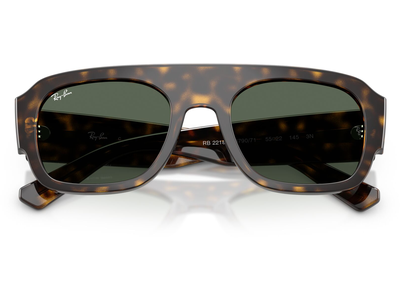  Ray-Ban RB2218 679071 Ansicht 5