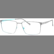 Titanflex Brille Herren Titanflex 822034 55 10