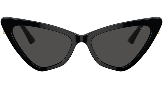 Jimmy Choo JC5008 500087 55 - Ansicht 3