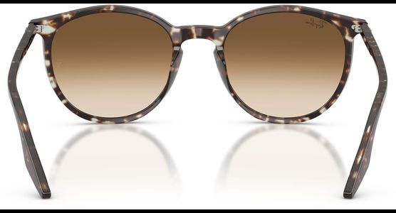 Ray-Ban RB2204 143151 - Ansicht 5