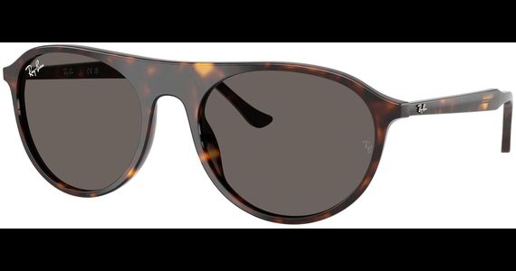 Ray-Ban RB2215 902/B1 - Ansicht 2