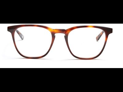 FRAIMS Brille Herren FRAIMS 03-97110-01 Bruce, Dunkel Havanna Ansicht 2