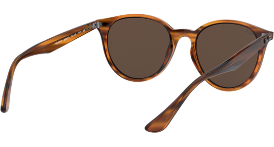 Ray-Ban RB4305 820/73 - Ansicht 8