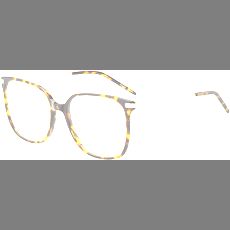 Hugo Boss Brille Damen Hugo Boss BOSS 1736/G 55 LVL