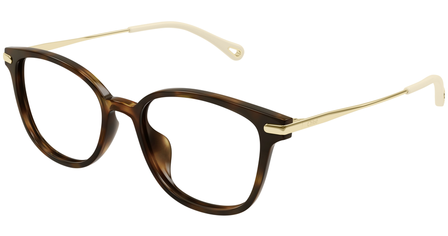 Chloé Brille Damen Chloé CH0219OA 53 002 Ansicht 1