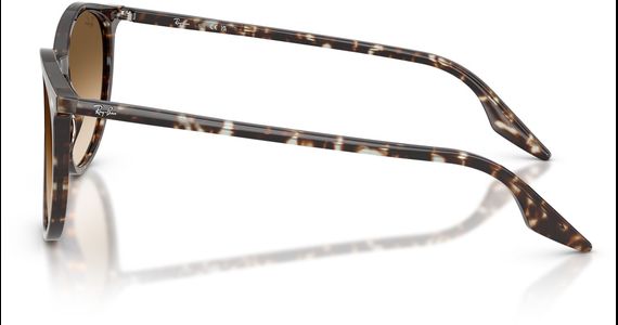 Ray-Ban RB2204 143151 - Ansicht 4