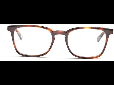 FRAIMS Brille Herren FRAIMS 03-97060-03 Paul, Dunkel Havanna Ansicht 2